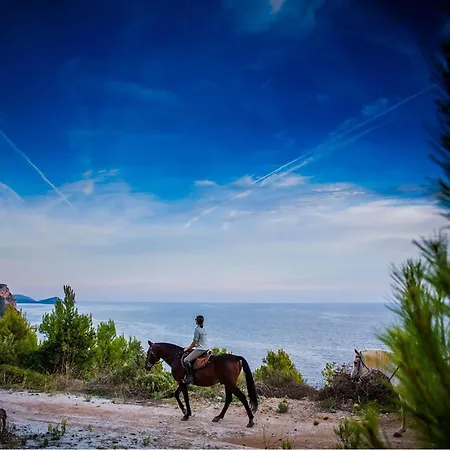 بيت للعطل Radovcici Gornje Selo Radovici