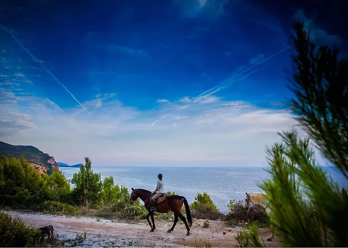 Tatil Evi Radovcici Gornje Selo Radovici